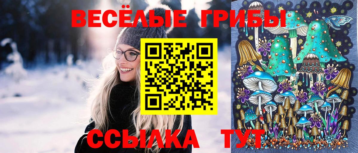 Борисоглебск  где купить наркоту  Вход с VPN  Псилоцибиновые грибы мицелий 